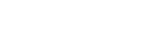 Technohorse Logo